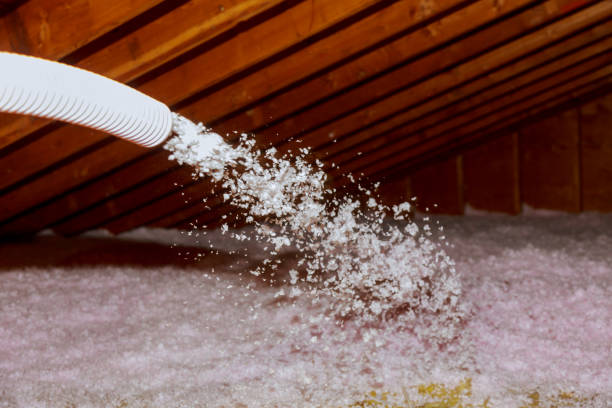 Best Geographic-Specific Insulation Services in Joshua Tree, CA