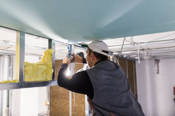 Best Eco-Friendly Insulation in Joshua Tree, CA
